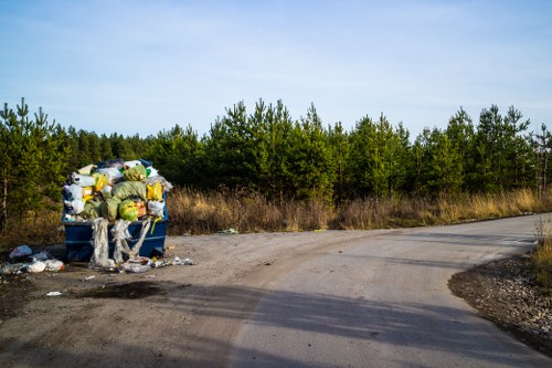 Professional waste removal team at work